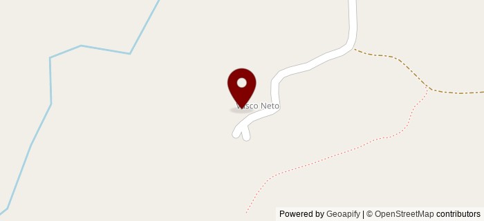 Vasco Neto, Vasco Neto