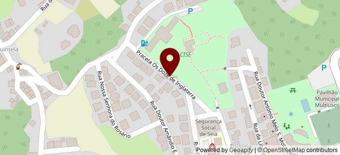 Praceta Os Doze de Inglaterra, Seia