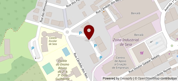 Rua das Olaias, Seia