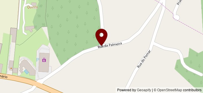 Rua da Palmeira, Imagin�rio