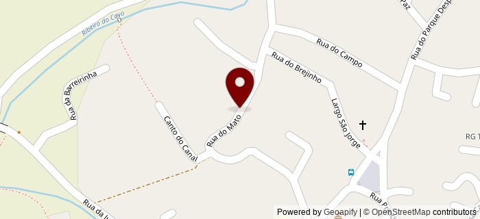 Rua do Mato, Carreira