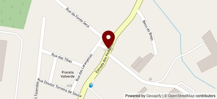 Estrada de Pinheiros, Leiria