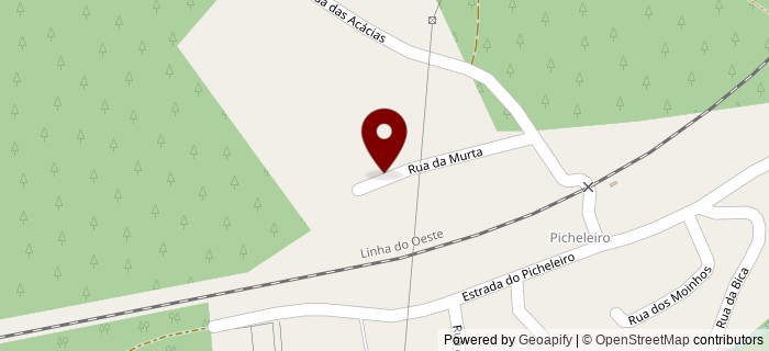 Rua da Murta, Picheleiro