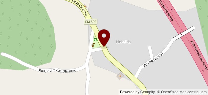 Pinheiria, Pinheiria