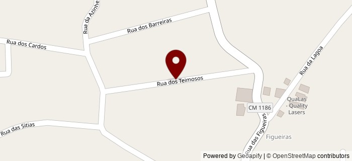 Rua dos Teimosos, Figueiras