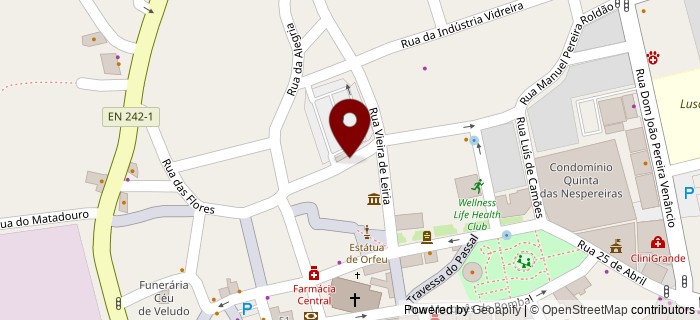 Rua Jos� Ferreira Cust�dio J�nior, Marinha Grande