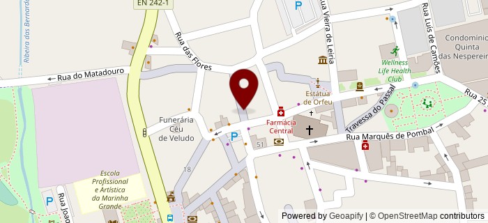 Rua Ant�nio Campos J�nior, Marinha Grande