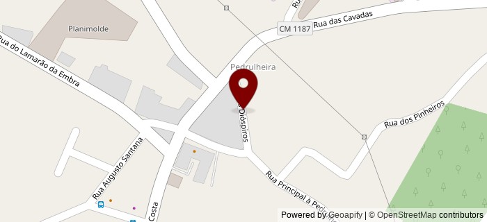 Rua Principal � Pedrulheira, Tojeira