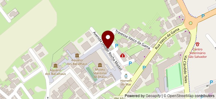 Avenida Doutor Rocha Madail, �lhavo