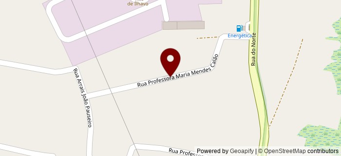 Rua Professora Maria Mendes Cal�o, �lhavo