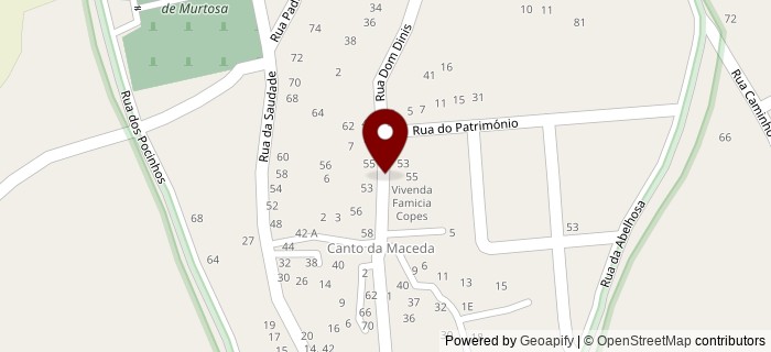 Caminho dos Papagaios, Murtosa