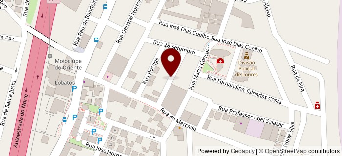 Rua Professor Doutor Egas Moniz, Loures