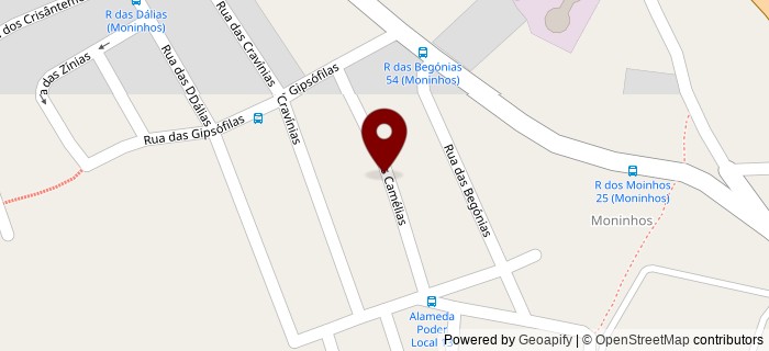 Rua das Cam�lias, Loures