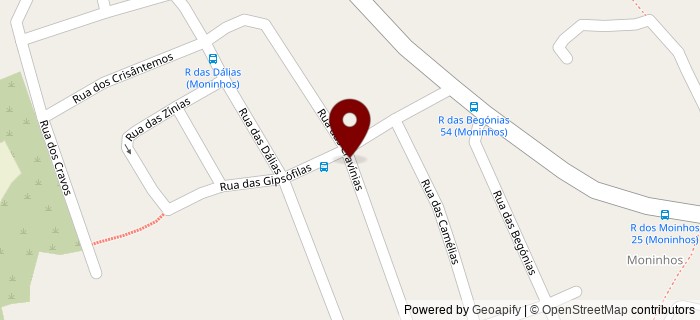 Rua das Cravinas, Loures