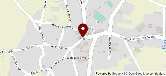 Rua da Carrasqueira, Janas