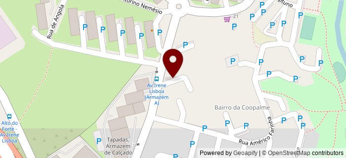 Praceta das Palmeiras, Janas