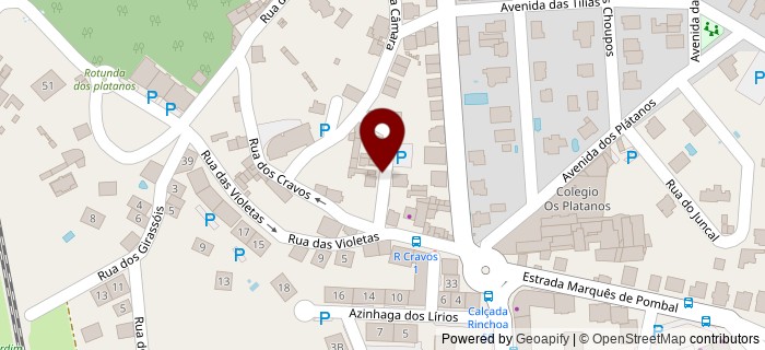 Rua dos Cravos, Sintra