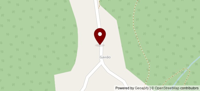Gavio, Gavio