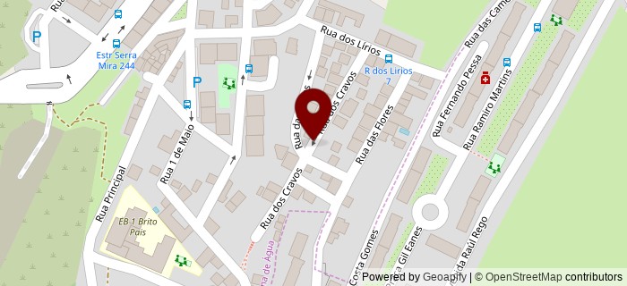 Rua dos Cravos, Amadora