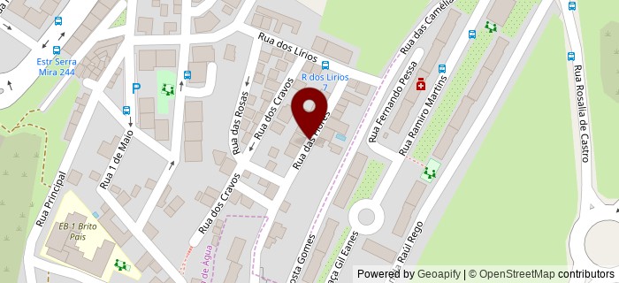 Rua das Flores, Amadora