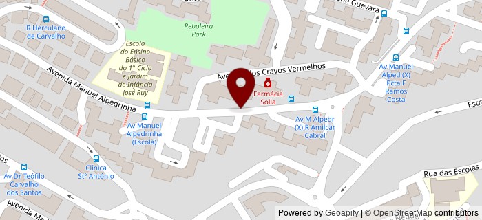 Avenida Manuel Alpedrinha, Amadora