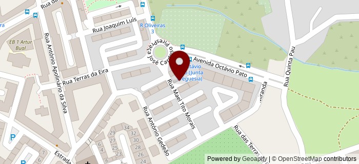 Praceta Professor Vieira de Carvalho, Amadora