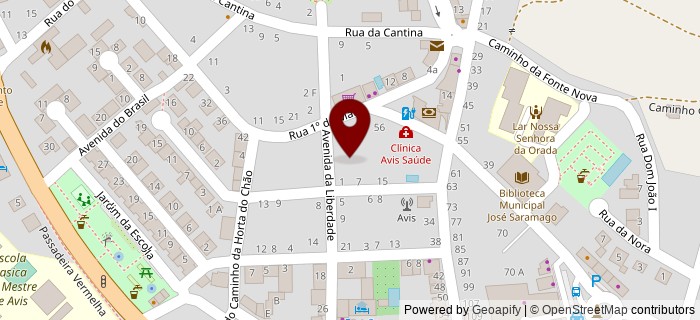 Caminho Municipal 1068-1, Avis