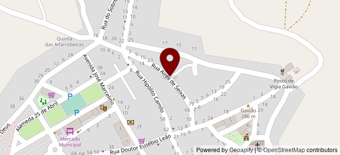 Aires de Seixas, Gavi�o