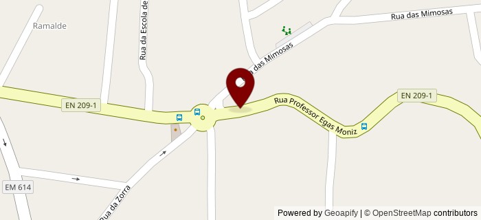 Rua Professor Egas Moniz, Gondomar