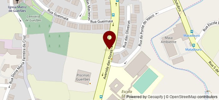 Avenida Comendador Carlos Ferreira da Silva, Maia