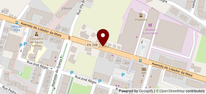 Avenida do Lidador da Maia, Maia