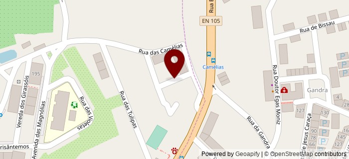 Rua das Mimosas, Maia