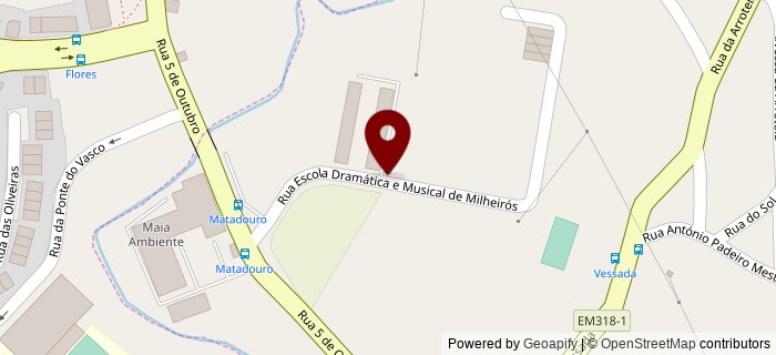 Rua da Escola Dram�tica e Musical de Milheir�s, Maia