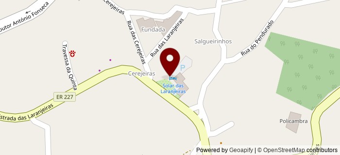 Salgueirinhos, Salgueirinhos