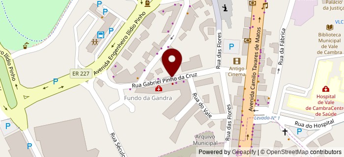 Rua Gabriel Pinho da Cruz, Vale de Cambra