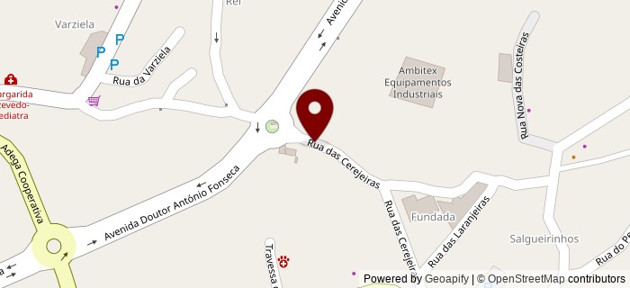 Rua da Varziela, Vale de Cambra