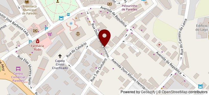 Rua Doutor Jos� Firmino, Paredes