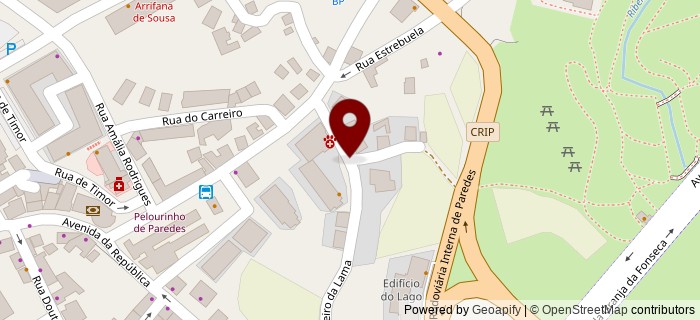 Travessa Carreiro de Lama, Paredes