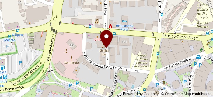 Rua Professor Abel Salazar, Porto