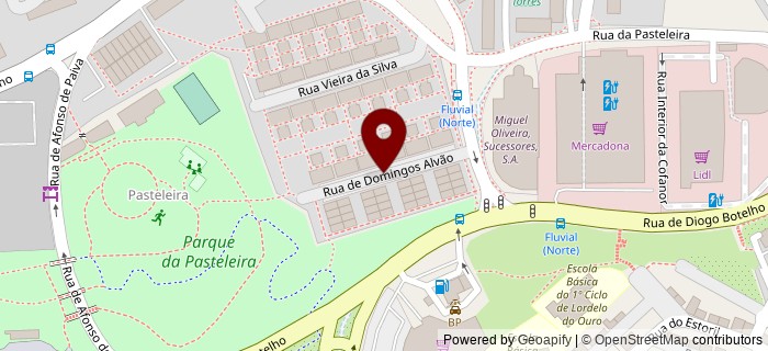 Rua Domingos Alv�o, Porto