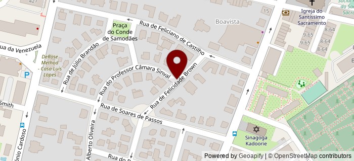 Rua Felicidade Brown, Porto