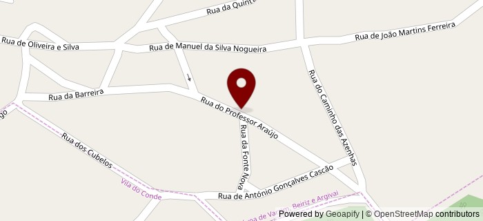 Rua do Professor Ara�jo, P�voa de Varzim