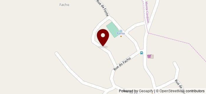 Rua Parque Desportivo, Carreira