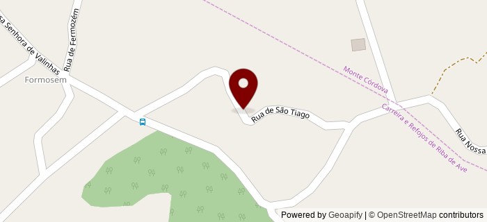 Rua Rapinho, Carreira