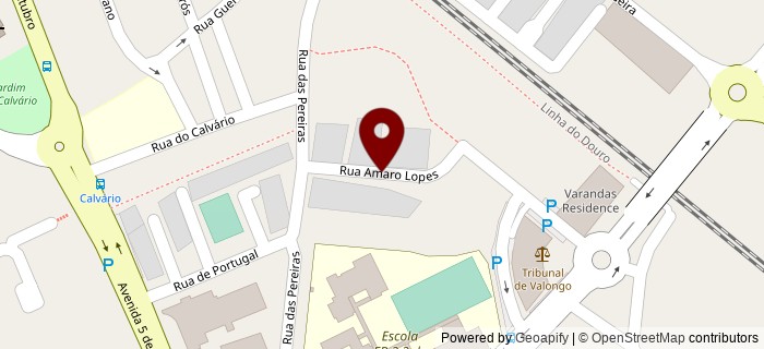 Rua Amaro Lopes, Valongo