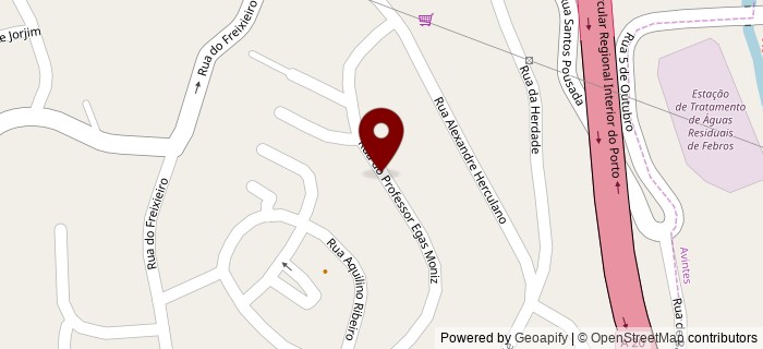 Rua Professor Egas Moniz, Vila Nova de Gaia