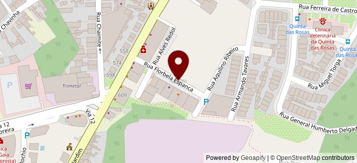 Rua Florbela Espanca, Vila Nova de Gaia