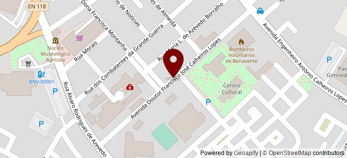 Avenida Doutor Francisco Jos� Calheiros Lopes, Benavente