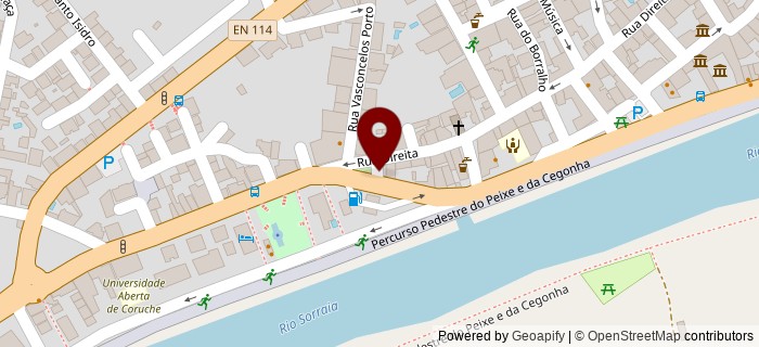 Estrada de Salvaterra de Magos, Coruche