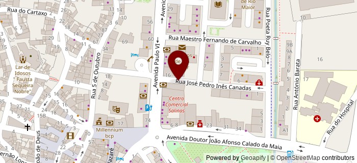 Rua Jos� Pedro In�s Canadas, Rio Maior